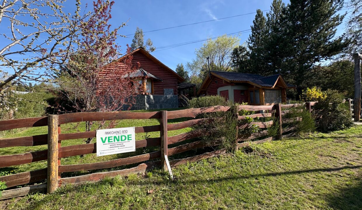 WhatsApp Image 2025-10-20 at 09.30.45 (1)