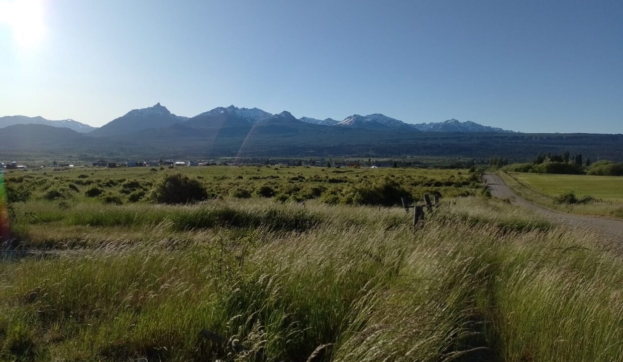 WhatsApp Image 2022-11-28 at 11.57.12 (2)