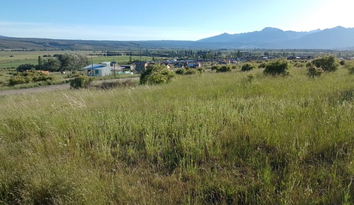 WhatsApp Image 2022-11-28 at 11.57.17