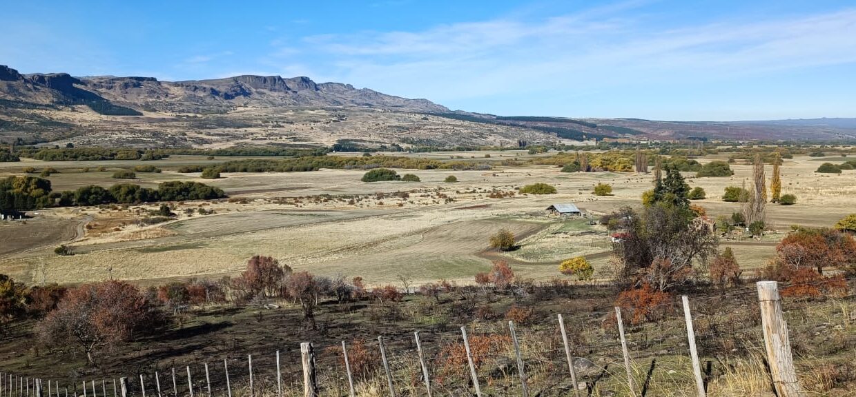 WhatsApp Image 2023-06-26 at 19.15.02