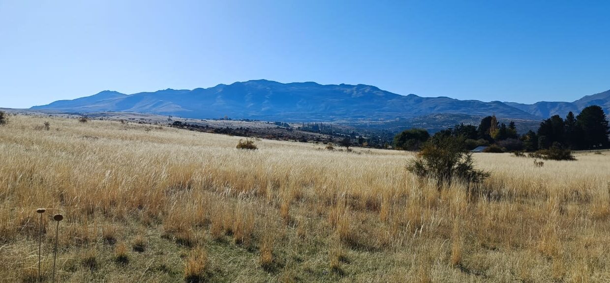 WhatsApp Image 2023-06-26 at 19.15.10