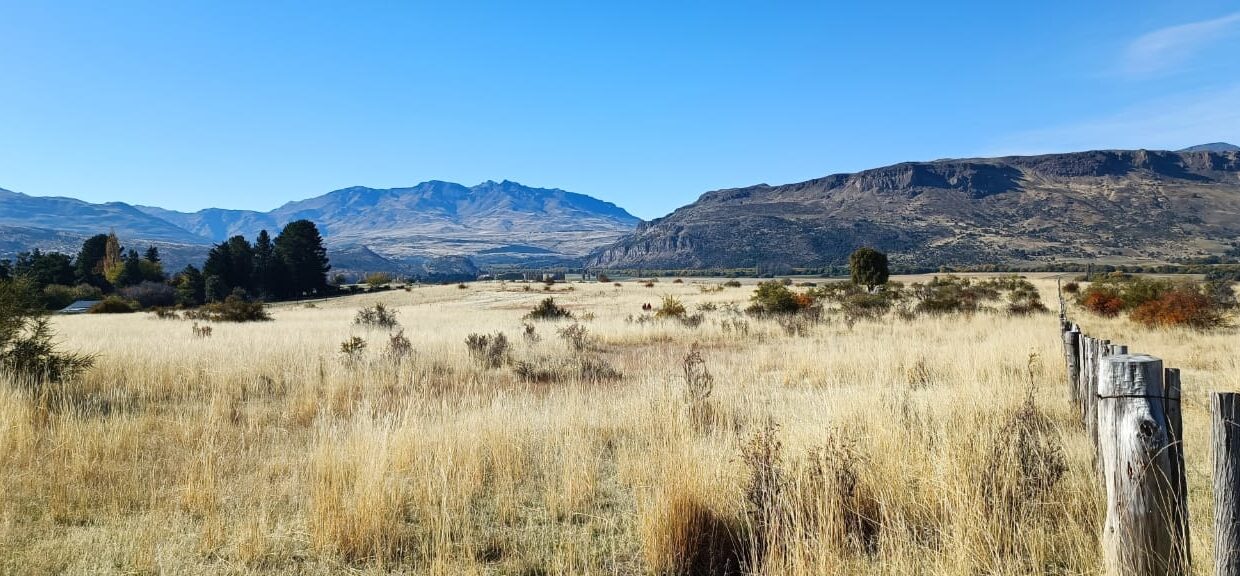 WhatsApp Image 2023-06-26 at 19.15.12 (1)