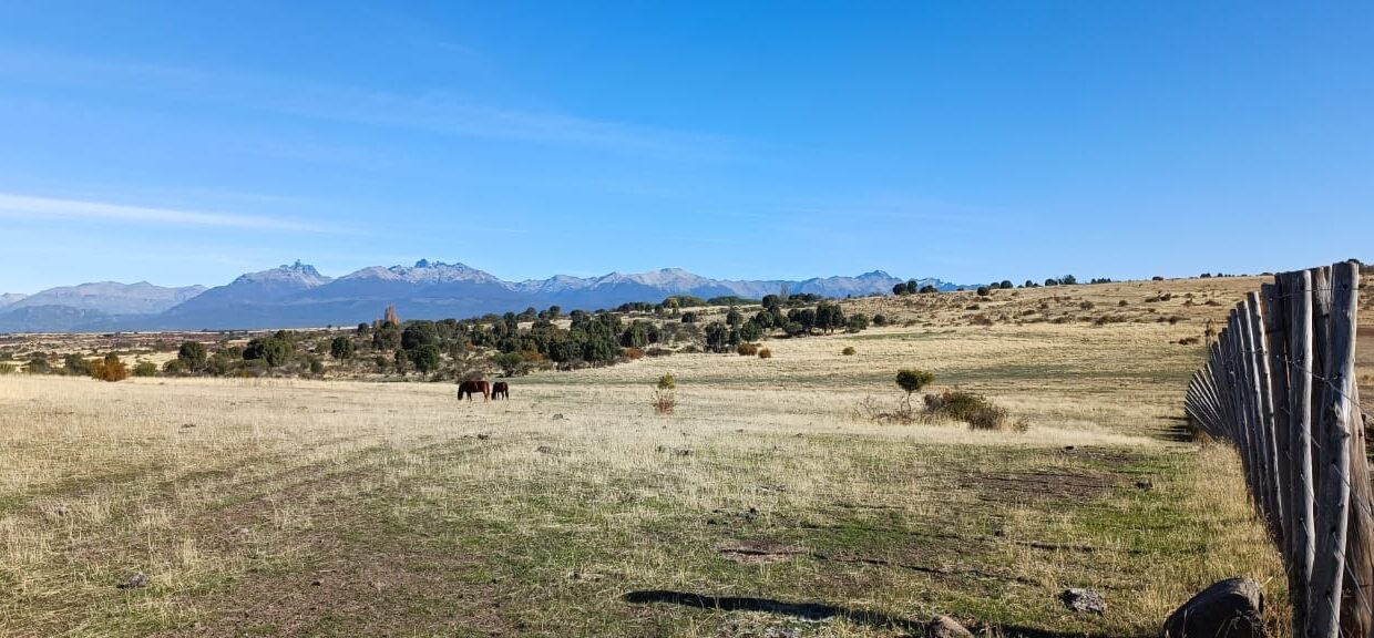 WhatsApp Image 2023-06-26 at 19.15.13 (2)