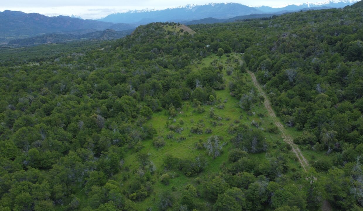 WhatsApp Image 2024-12-12 at 17.23.57 (1)