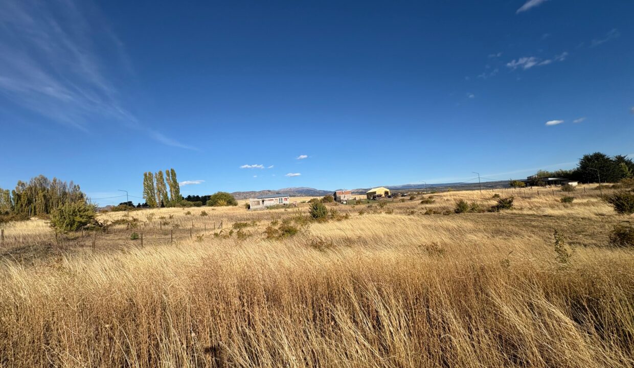 WhatsApp Image 2025-03-25 at 09.47.12