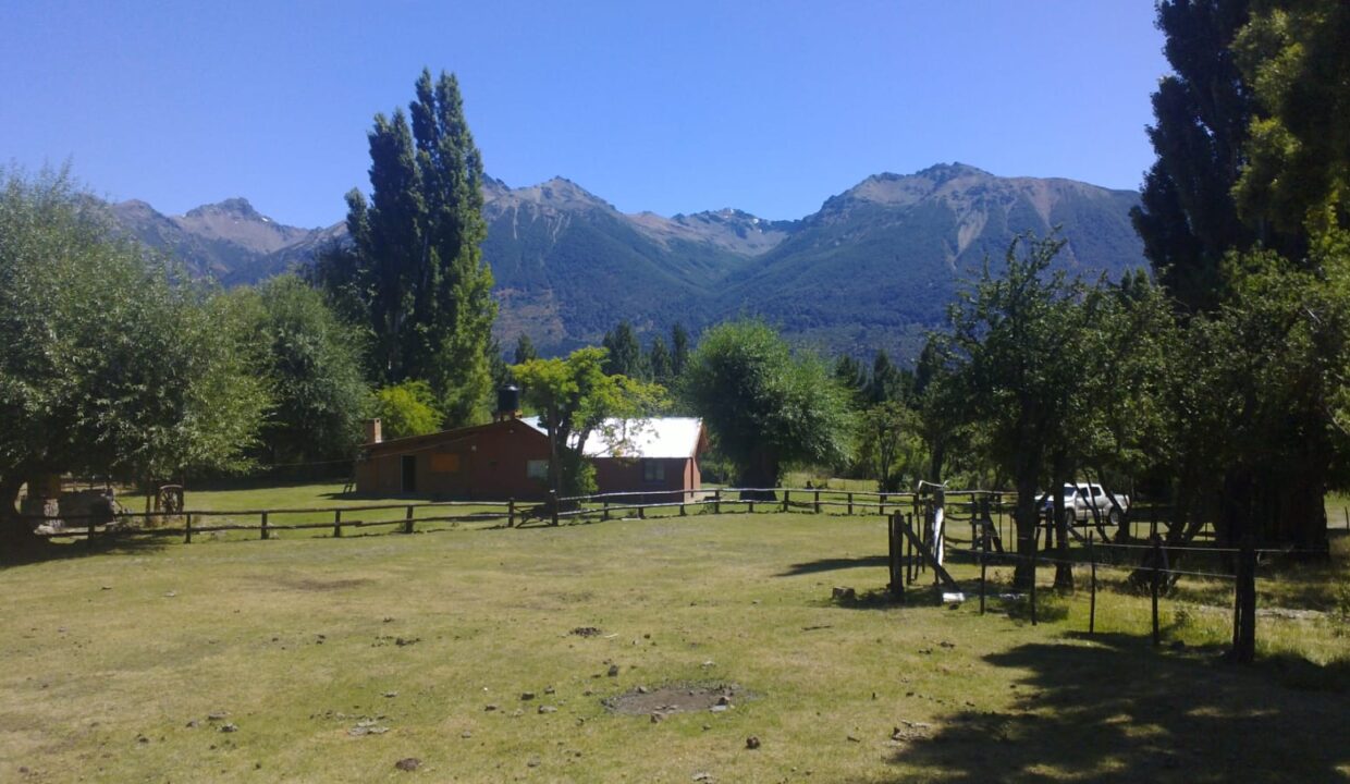 WhatsApp Image 2024-08-27 at 19.54.12