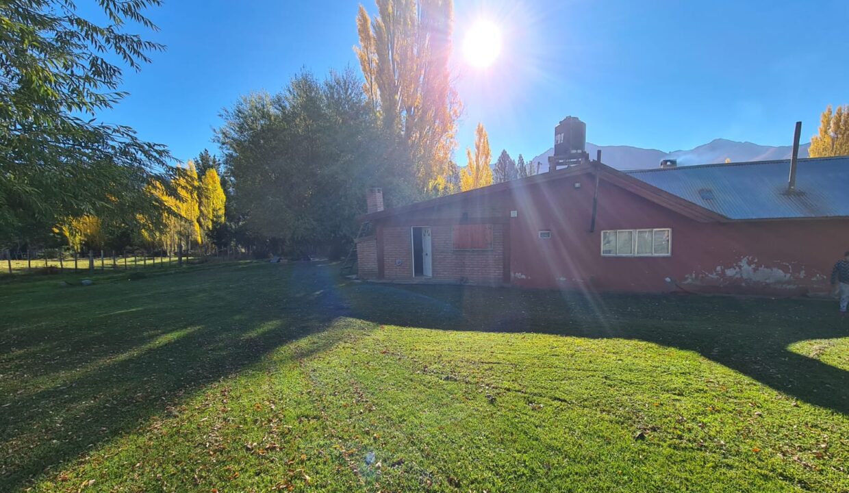 WhatsApp Image 2024-08-27 at 19.54.13 (1)