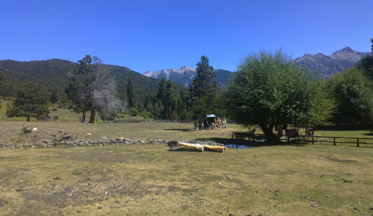 WhatsApp Image 2024-08-27 at 19.54.13