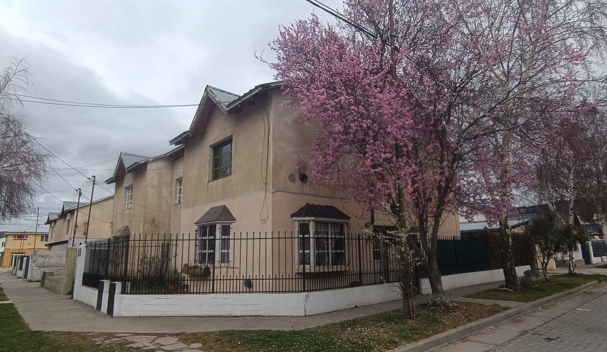 WhatsApp Image 2025-09-02 at 11.53.05