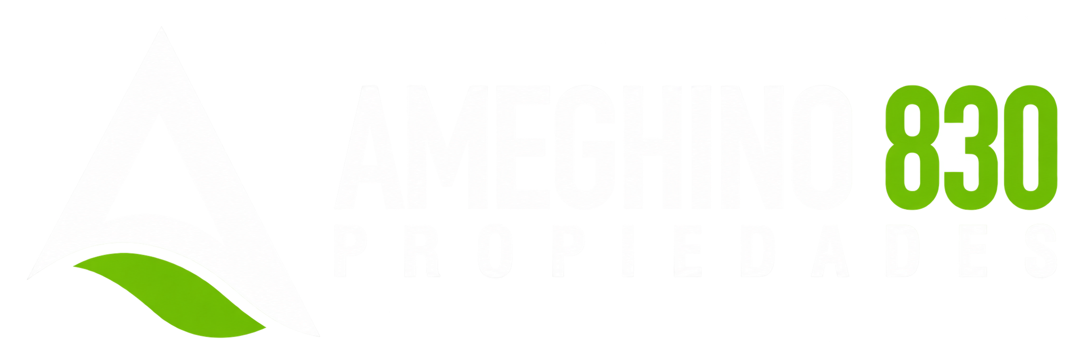 Ameghino 830 Propiedades