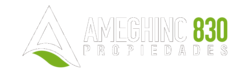 Ameghino 830 Propiedades
